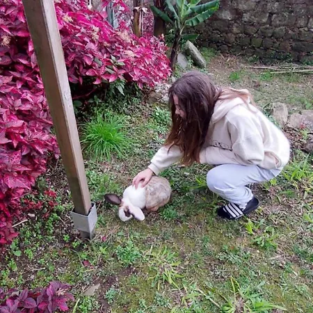 Cantinho Da Ines Local