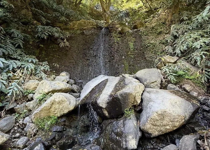 Cantinho Da Ines Local 別荘