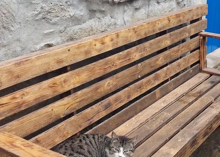 Cantinho Da Ines Local *