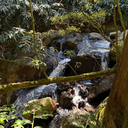 Cantinho Da Ines Local