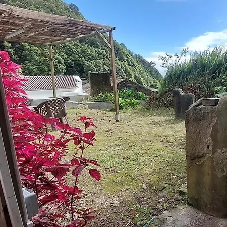 Cantinho Da Ines Local * Faial da Terra