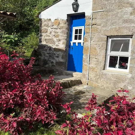 Cantinho Da Ines Local * Faial da Terra