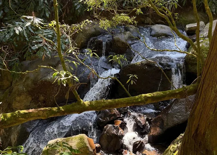 Cantinho Da Ines Local