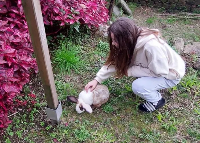 Cantinho Da Ines Local